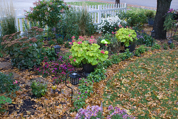 SE Garden Bed