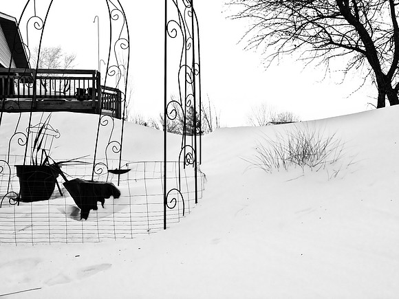 Deep Bank Runs Through It