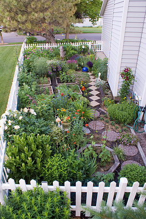 Birds Eye Garden