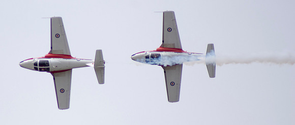 Snowbirds