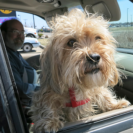 Murphy Makes A Run For The Border