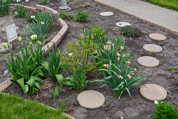 Garden, Southwest section D