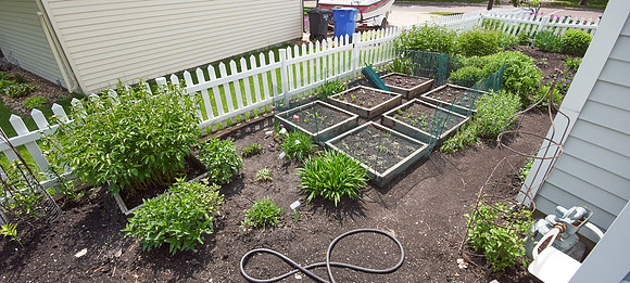 Garden, Main South