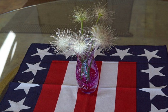Pasque Flower