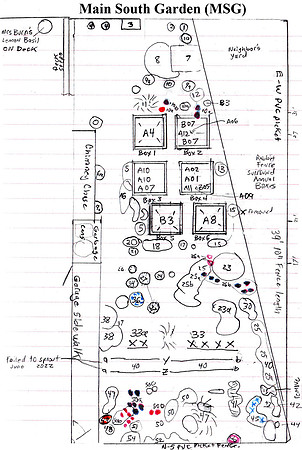 _Map, MSG