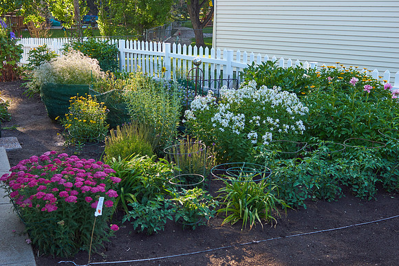 Garden, Main South