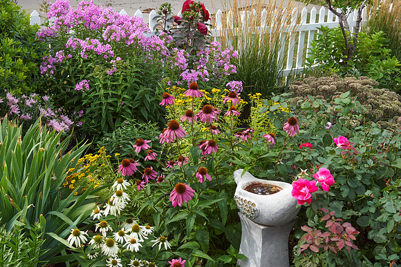 Garden, Southwest