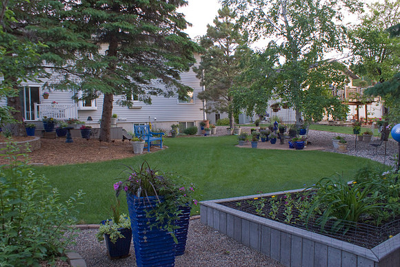 Back Of Backyard