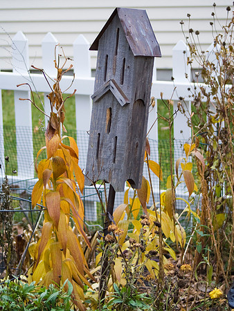 Lonely Birdhouse