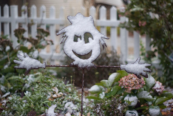 Snowy Scarecrow