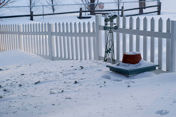 Fenceline In The Morning Light