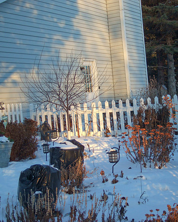 Thursday's Shadows