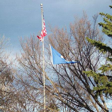 Flag Damage
