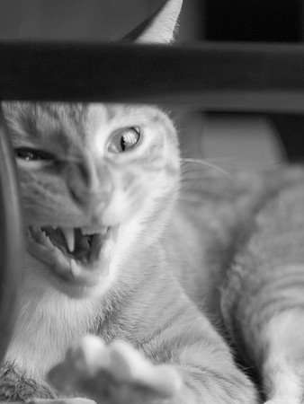 Huey Yawns Demonically