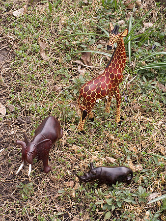 Grazing In The Maas Animal Sactuary