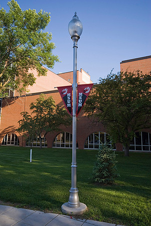 MSUM Library