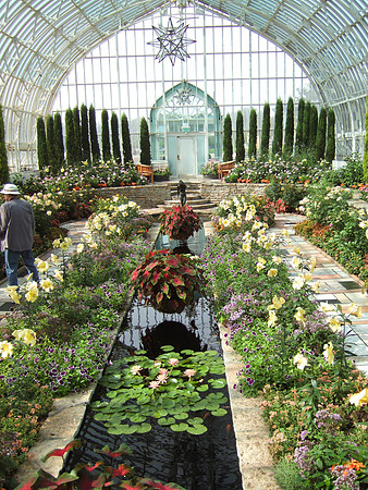 Greenhouse