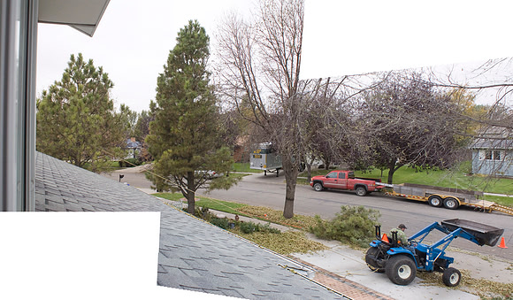 Last Evergreen Come Down
