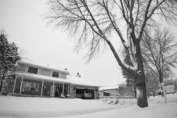 Snowy Christmas