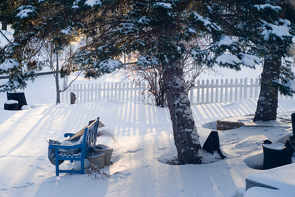 Fence Shadows On Fresh Snow