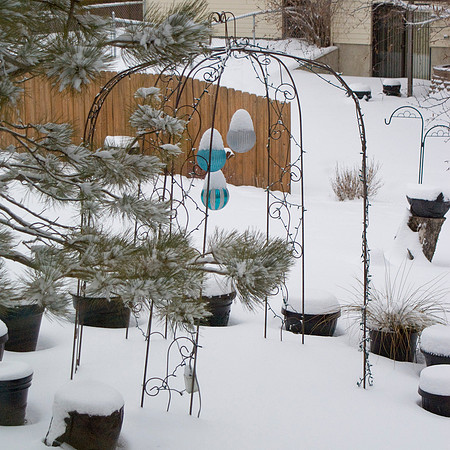 Snow Cap
