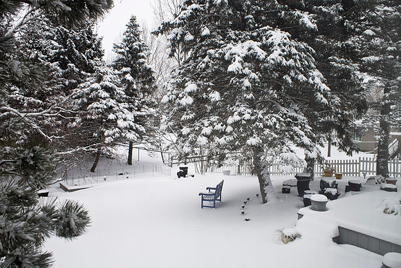 White Powder