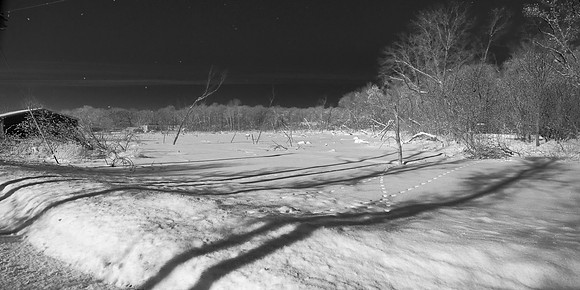 Making Tracks