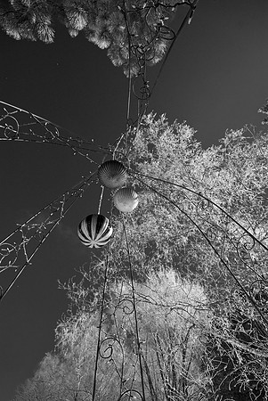 Under The Gazebo