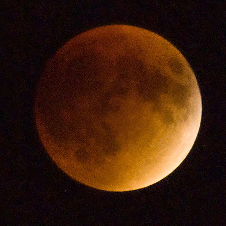Blood Moon