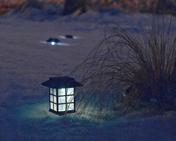 Lighting The Way To Spring