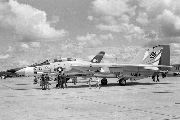 e35 F-14 Tomcat side