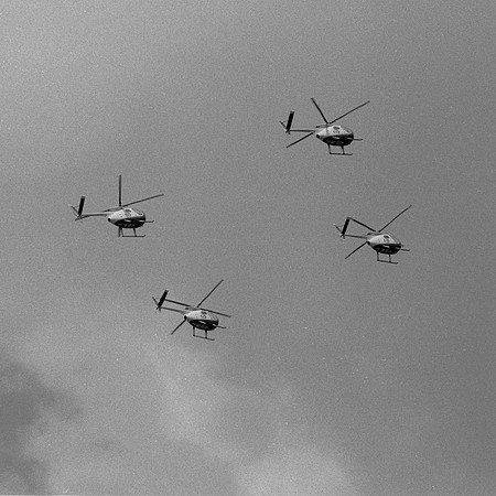 d19 Silver Eagles