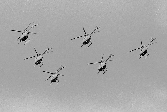 d24 Silver Eagles