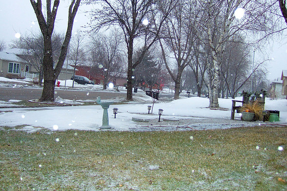 Late Spring Snow