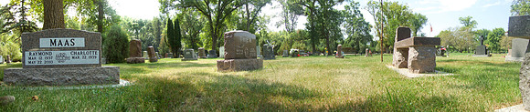 Section T