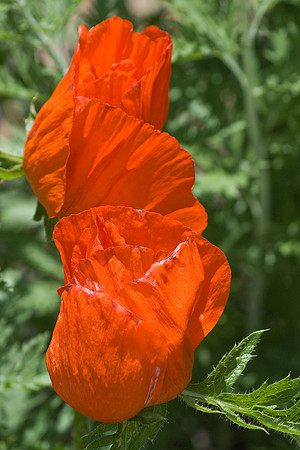 DSC03183