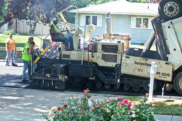 Roses And Asphalt