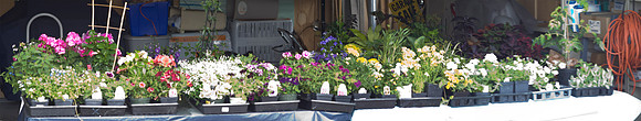 DSC02254-57 panorama