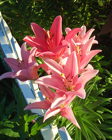 DSCF1628