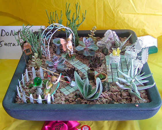 Beth's Succulents