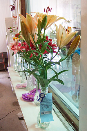 Lilies #406