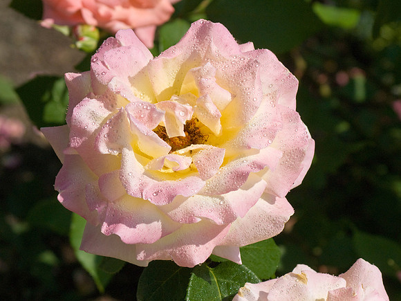 DSC03692