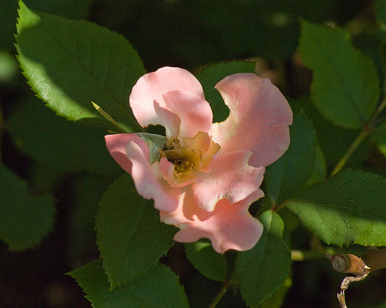 DSC03705