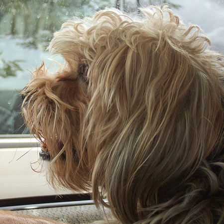Murphy Looks For More Hot Dogs