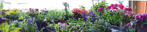 DSC02265-68 panorama