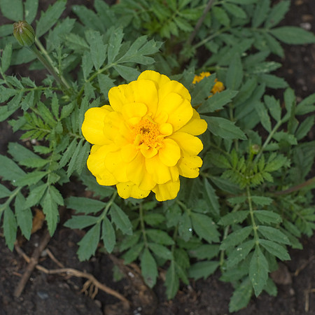 DSC04008