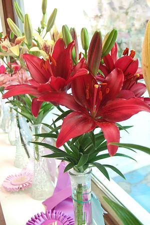 Red Lilies
