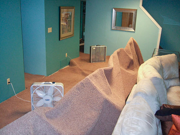 Tented Carpet