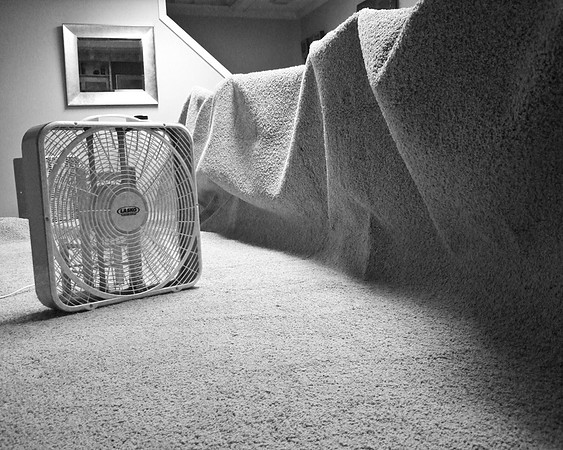 Box Fans