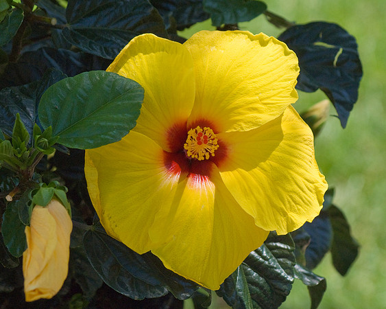 DSC04457